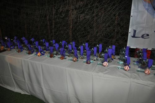 Awarding ceremonyMedals and prizes